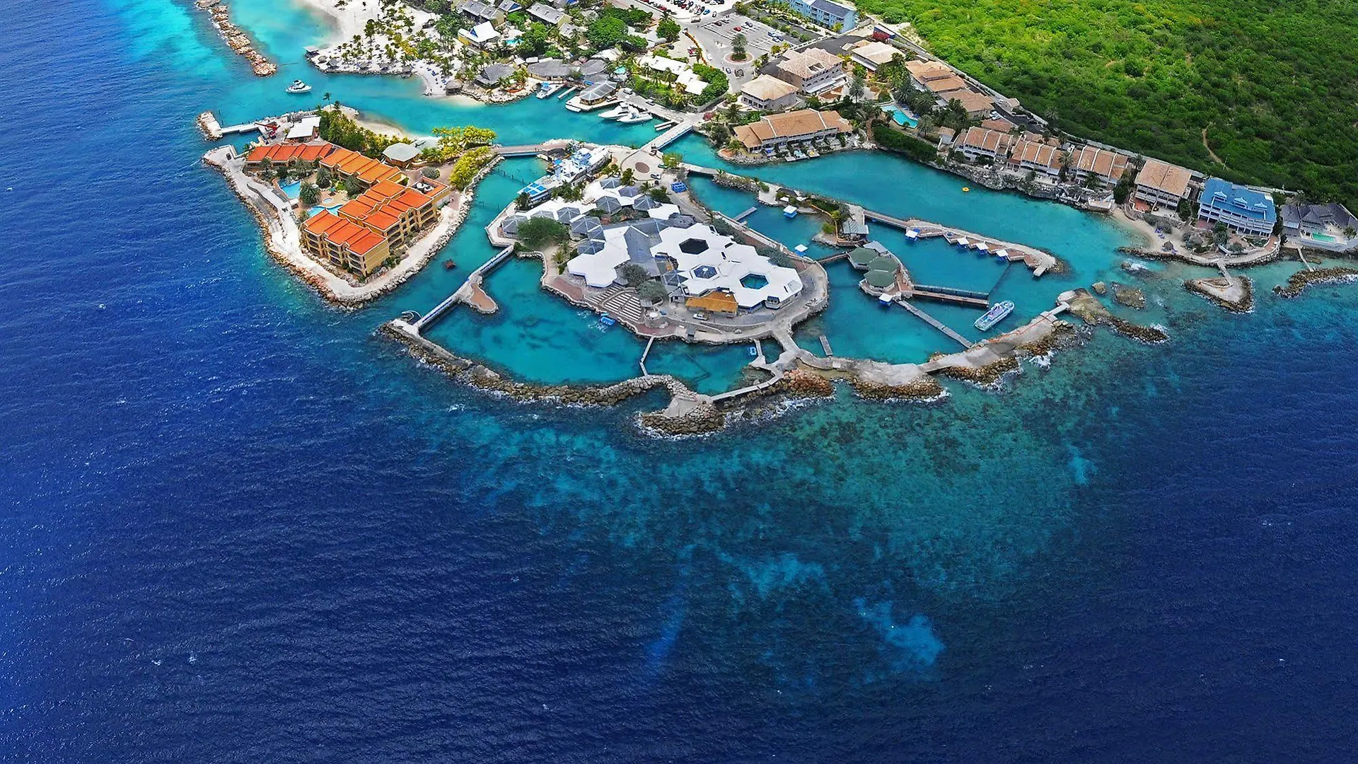 Dolphin Suites & Wellness Curacao Willemstad Hotel