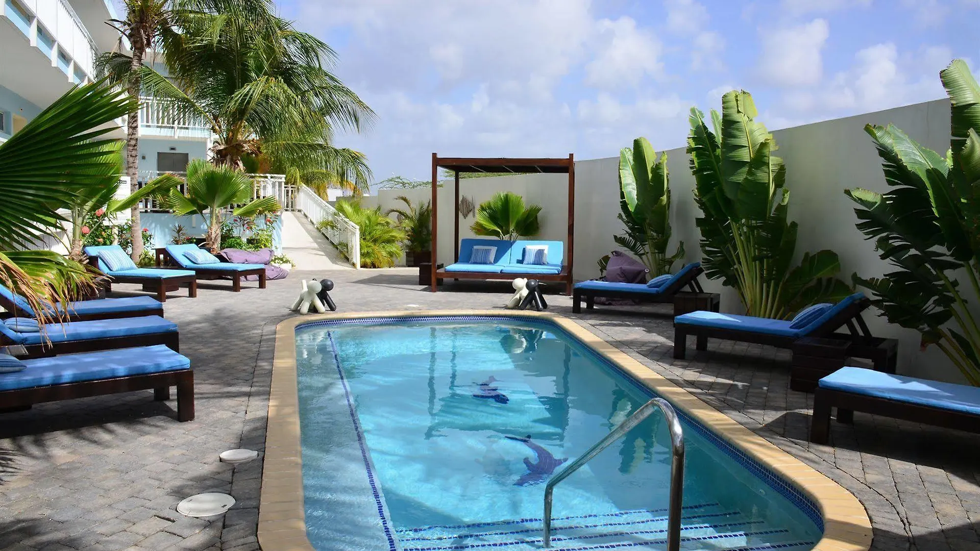 Dolphin Suites & Wellness Curacao Willemstad