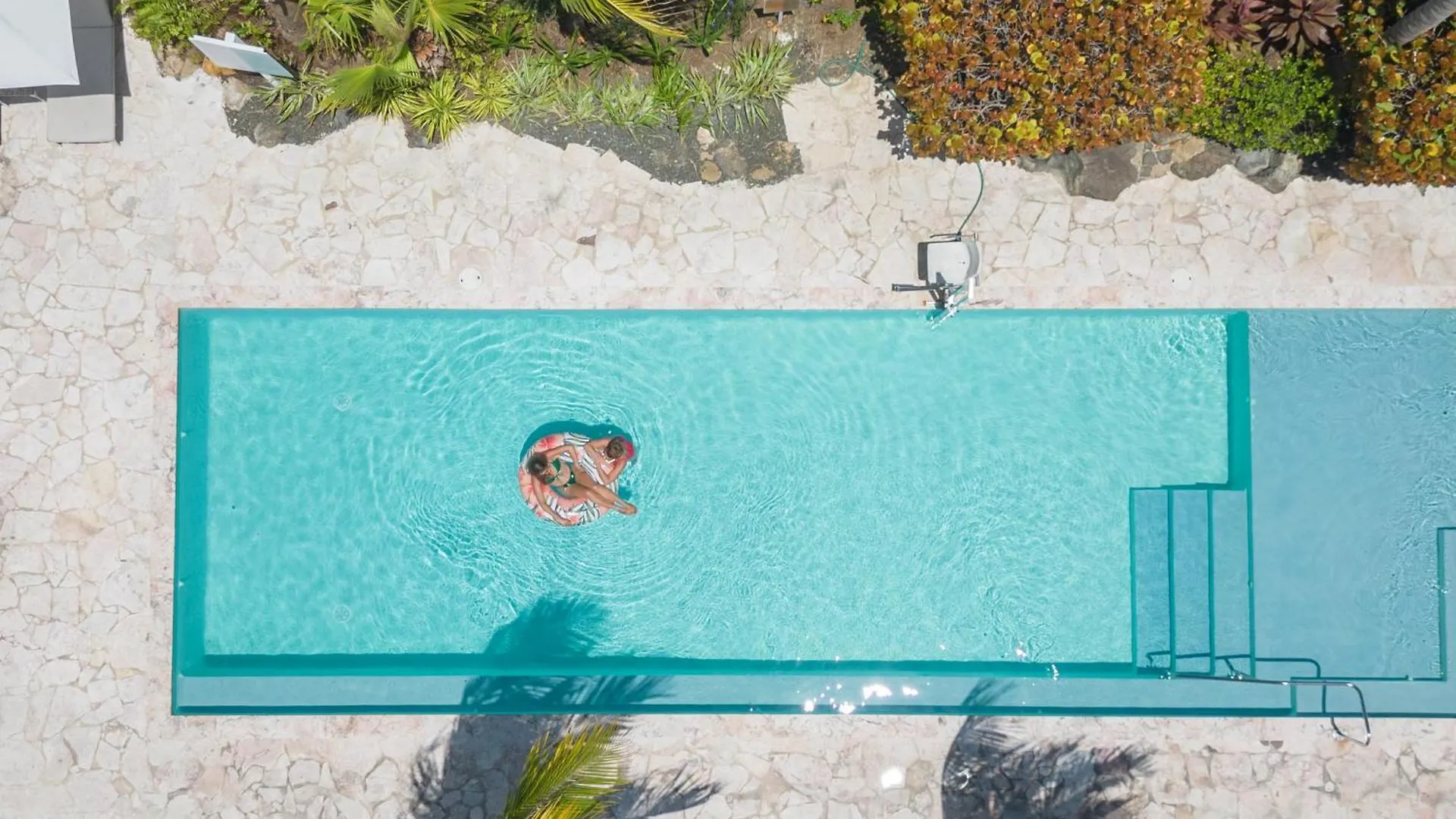 Dolphin Suites & Wellness Curacao Willemstad 3*,  Curacao