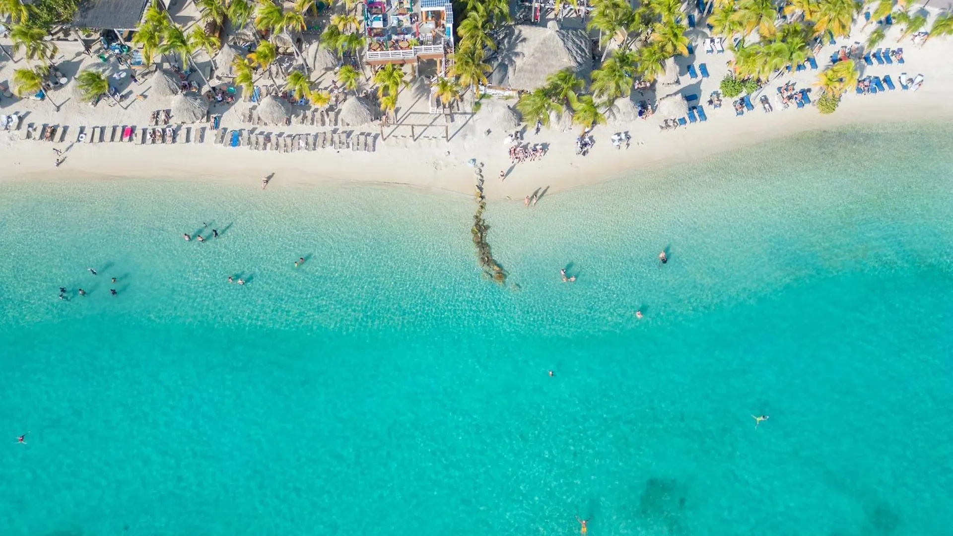 Dolphin Suites & Wellness Curacao Willemstad Hotel